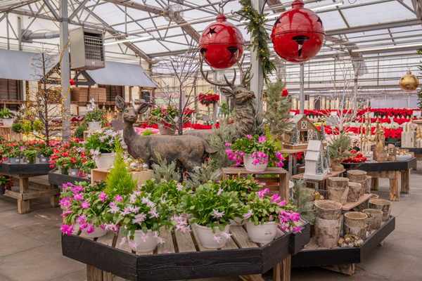 decor contest display