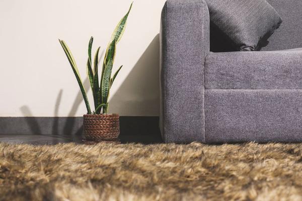 plush rug sofa