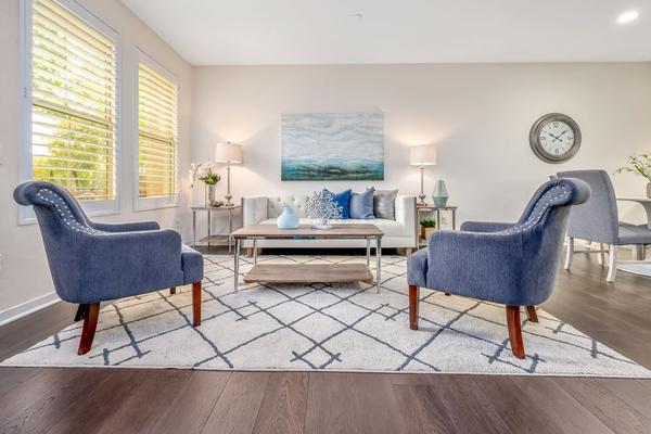 staged modern living room